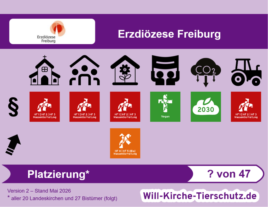 Grafik - So schneidet die Erzdioezese Freiburg im Tierschutz-Kirchen-Ranking ab