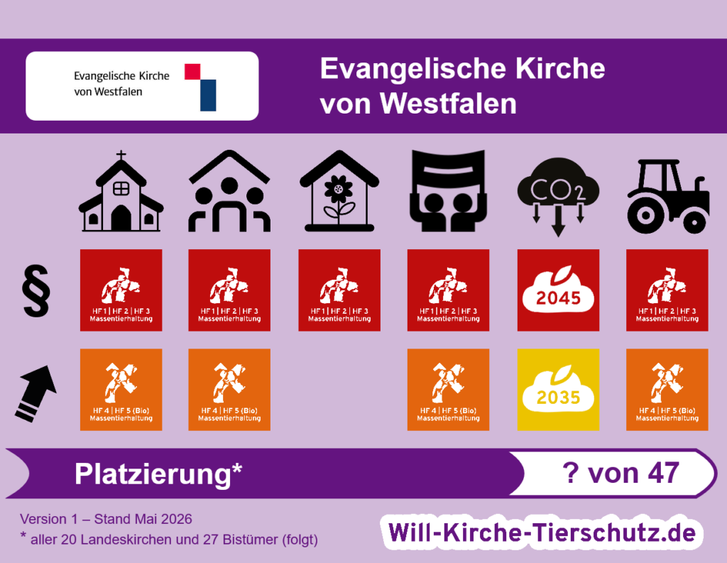 Grafik - so schneidet die Evangelische Kirche von Westfalen im Tierschutz-Kirchen-Ranking ab.