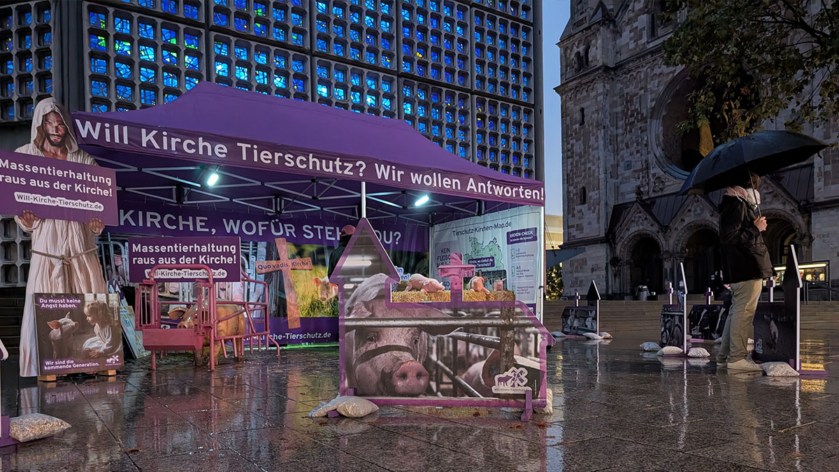 Zwischenfazit zum Aktions- und Dialogcamp für Tierschutz an der Gedächtniskirche